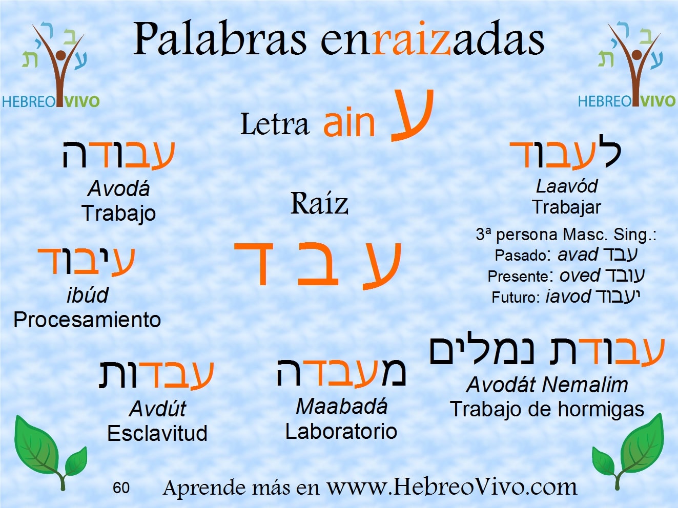 Significado Hebreo de Shalom  Frases judías, Significado de